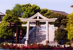 新参道と大鳥居