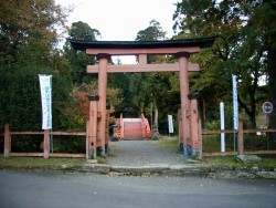 鳥居から参道を望む