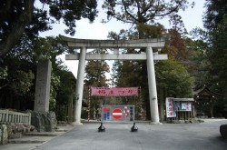 咹